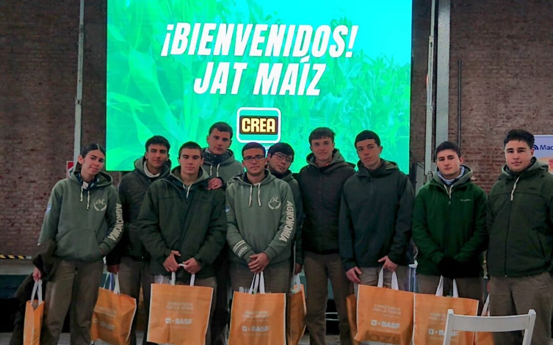 JAT MAIZ