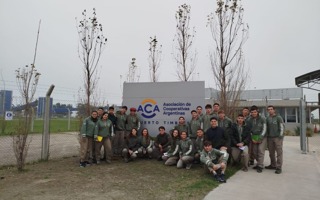 6ºAño 1º «Agro»