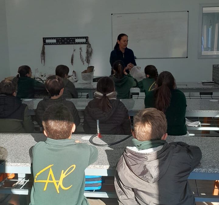 Taller Cultivo Gírgolas