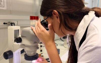 BIYSC 2026 y Prácticas en Croacia