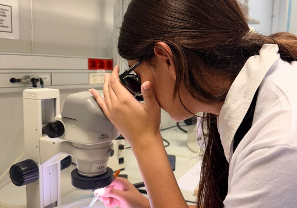 BIYSC 2026 y Prácticas en Croacia